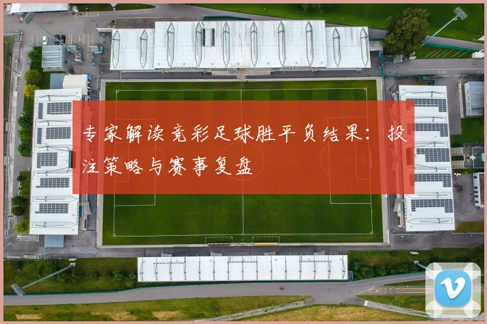 专家解读竞彩足球胜平负结果:投注策略与赛事复盘